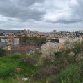 יעד אוכלוסייה של למעלה מ-500,000 תושבים לעיר בית שמש