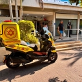 שמרו על הילדים בבריכה או בים: