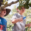 מצפינים ונהנים