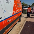 נער נפגע באורח בינוני לאחר נשיכת כלב במושב תירוש