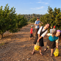 חול המועד סוכות בחבל מודיעין