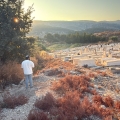 חלקת הכוהנים בבית העלמין נותרה שוממה ומוזנחת: