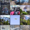 הושגה שליטה על השריפה שפרצה השבת ביער חרובית: